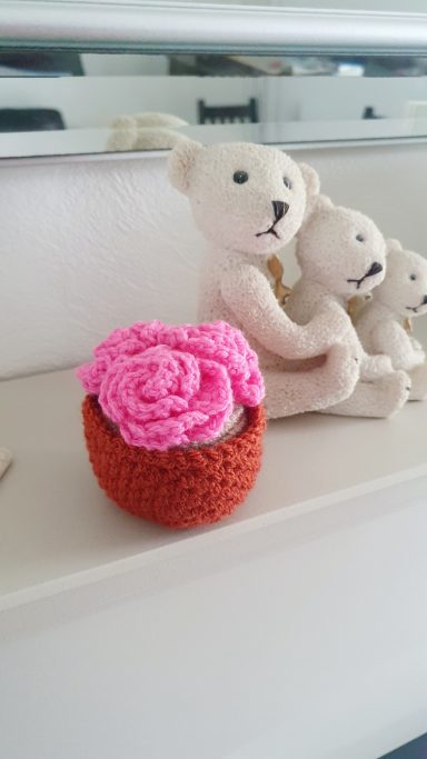 A mini plant pot with pink flowers in it